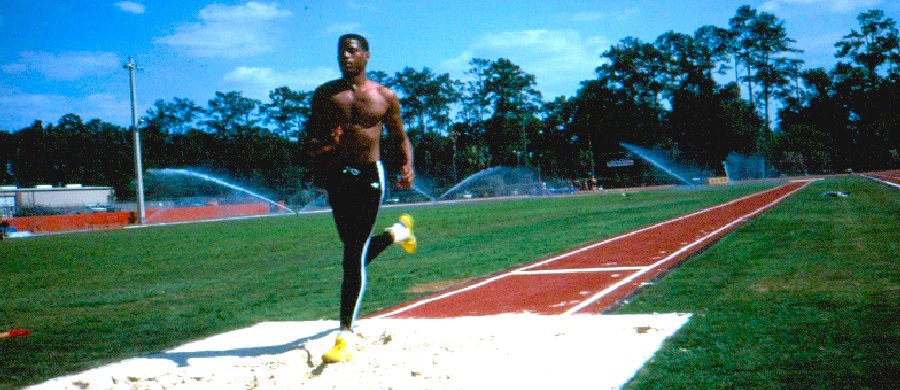 University of Florida