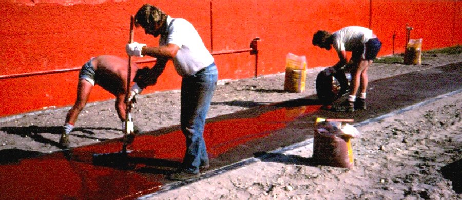 University of Florida