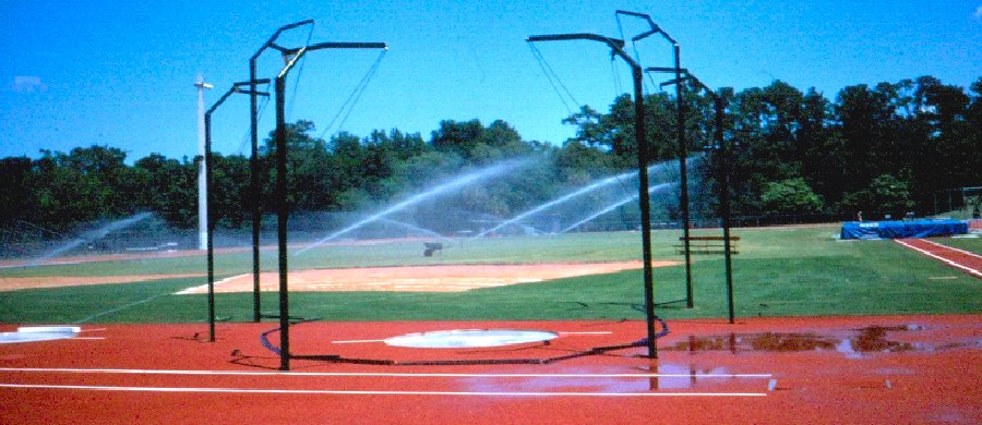 University of Florida