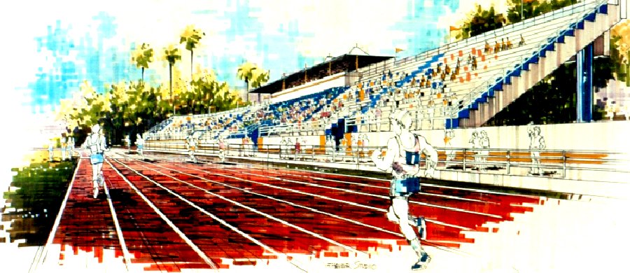 University of Florida