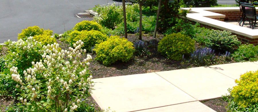 Lebanon Valley College