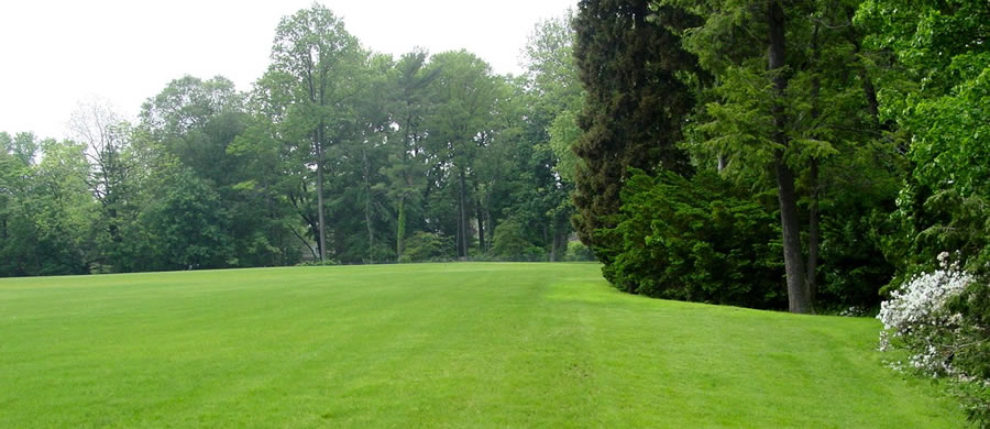 Lower Merion School District