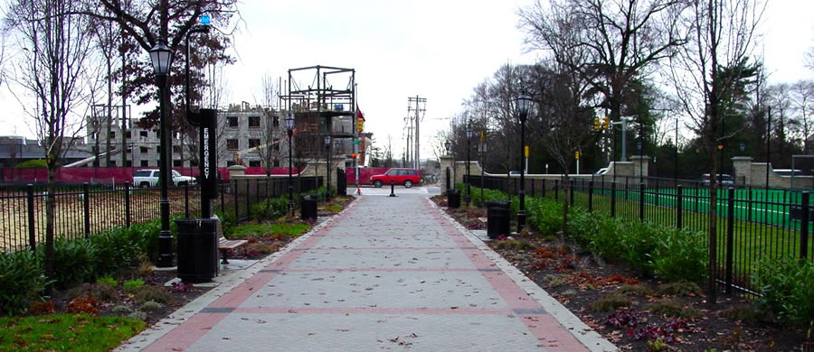 Saint Josephs University