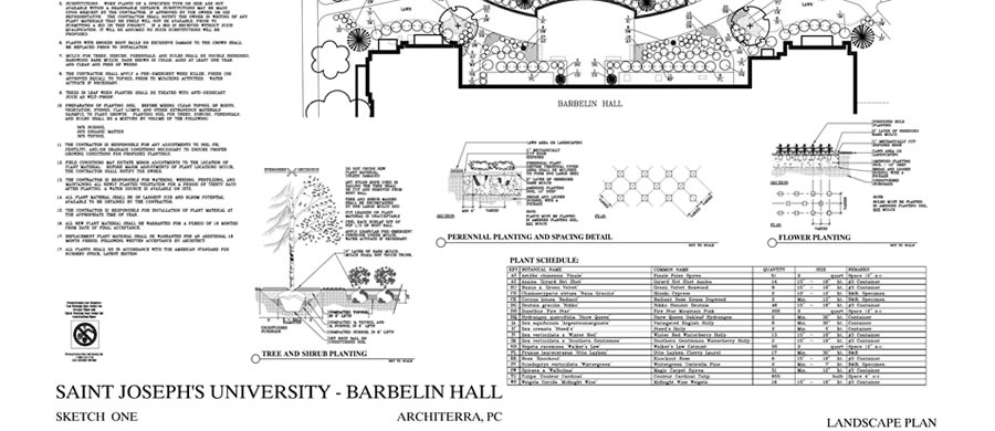 Saint Josephs University