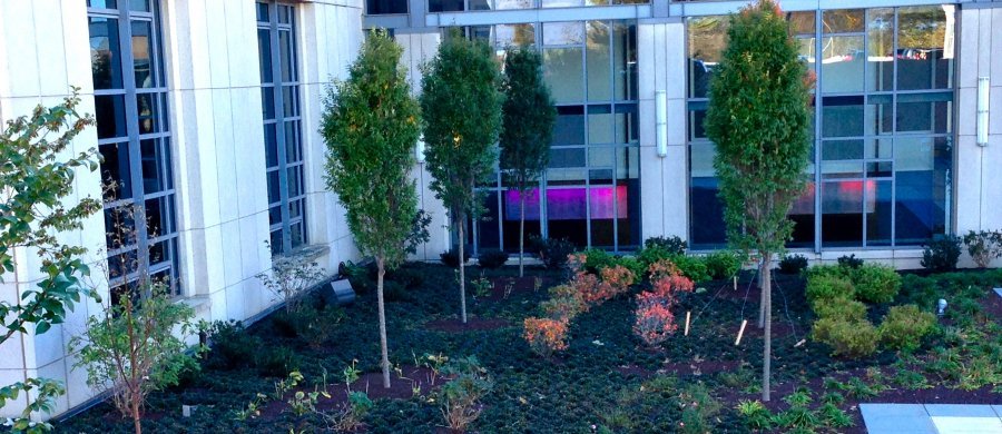 LVHN Building Main Entry