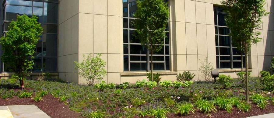 LVHN Building Main Entry