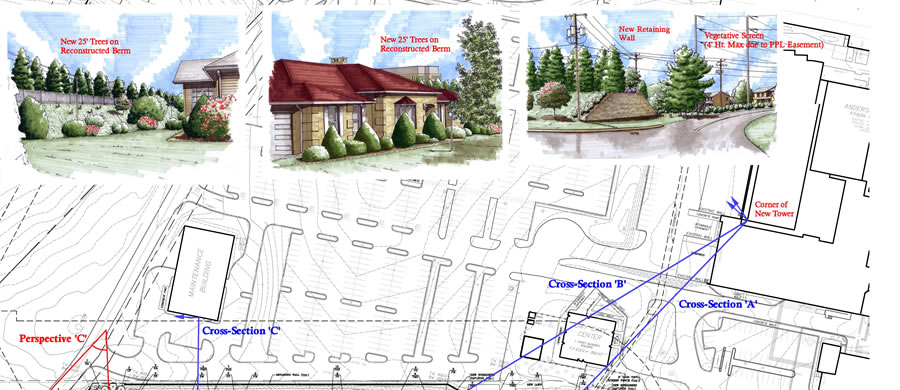 LVHN Landscape Buffer