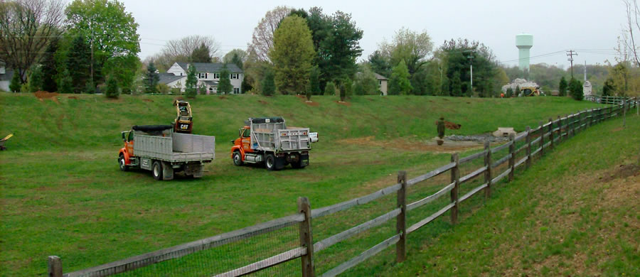 LVHN Landscape Buffer