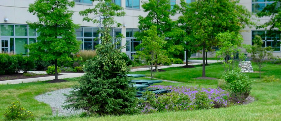 LVHN Outdoor Seating Plazas