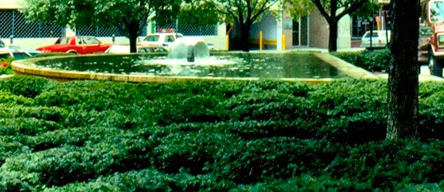 Buffalo Office Sites