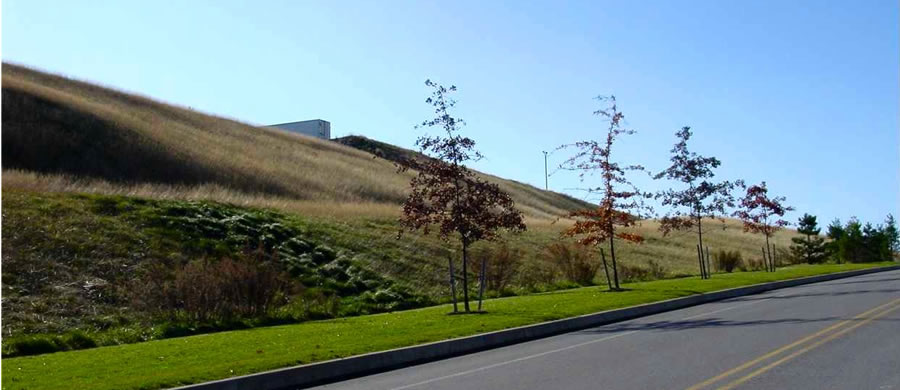 CenterPoint & Trade Park East Campus