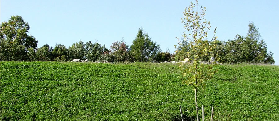 CenterPoint & Trade Park East Campus