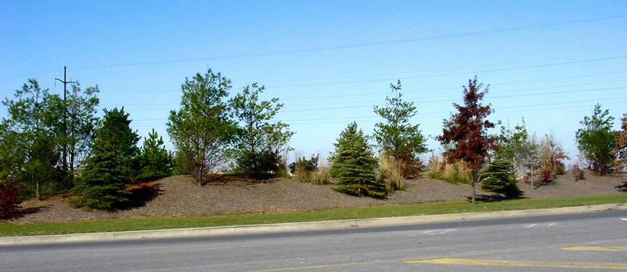 CenterPoint & Trade Park East Campus