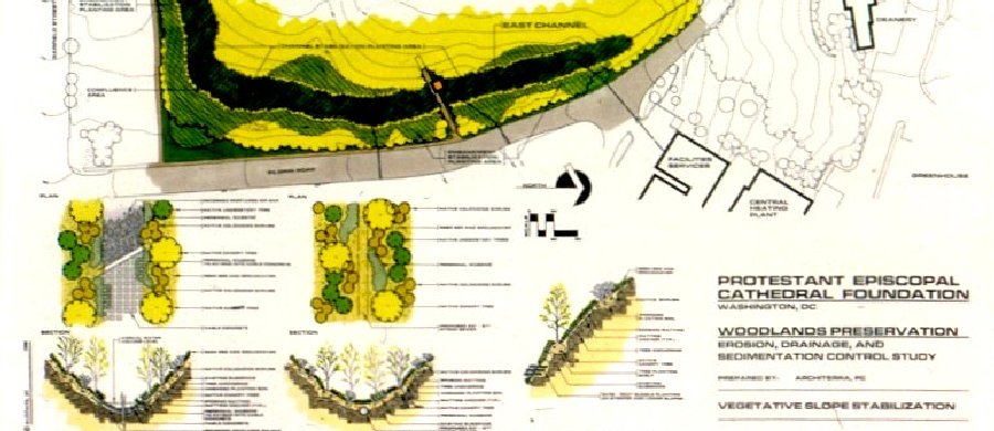 Washington National Cathedral