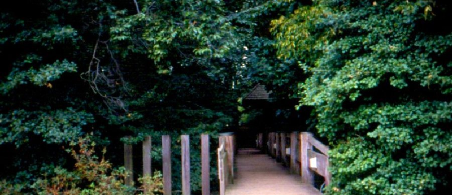 Washington National Cathedral