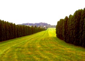 Tapeta Farms Equine Rehabilitation Center