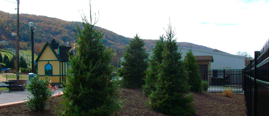 Blue Mountain Ski Area