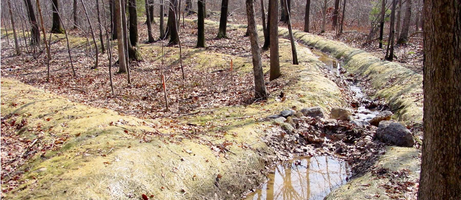 MMI Preparatory School