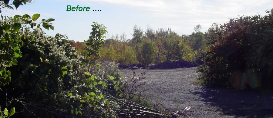 MMI Preparatory School