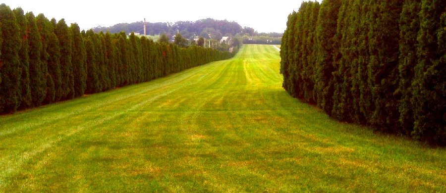 Tapeta Farms Equine Rehabilitation Center